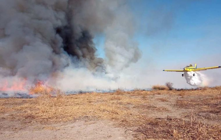 Argentina: Environmental emergency decreed in Tierra del Fuego due to forest fires