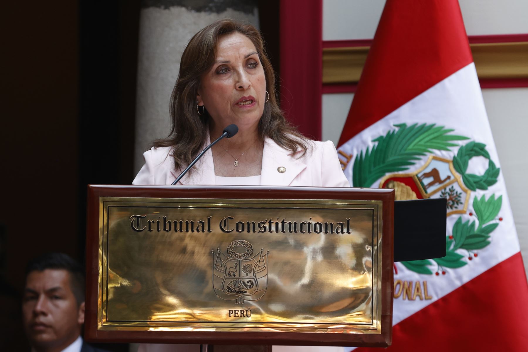 Peru unrest: President Boluarte offers dialogue to address social demands