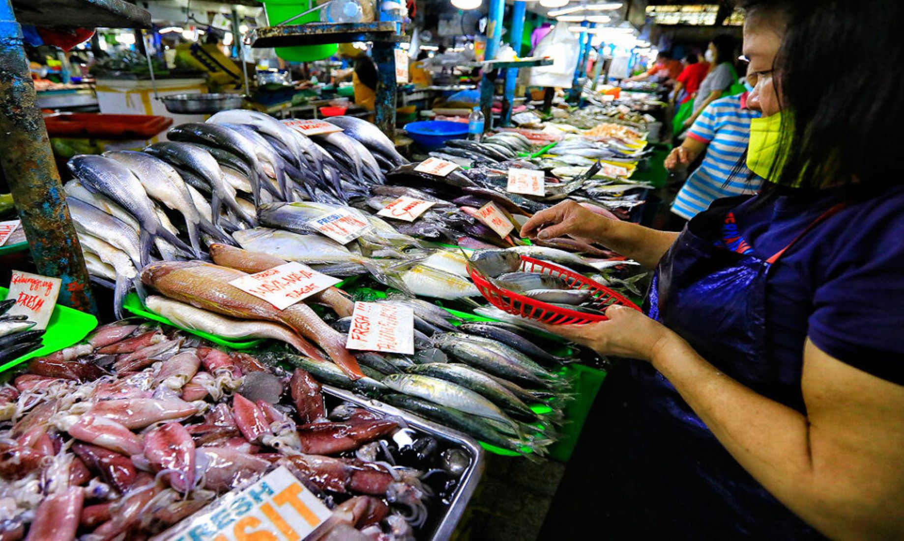 Philippine Inflation Rate Rose To 8.1 Percent In Dec