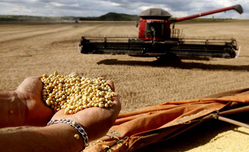 Brazil estimates over 301 mln tons in grain production for 2022-2023