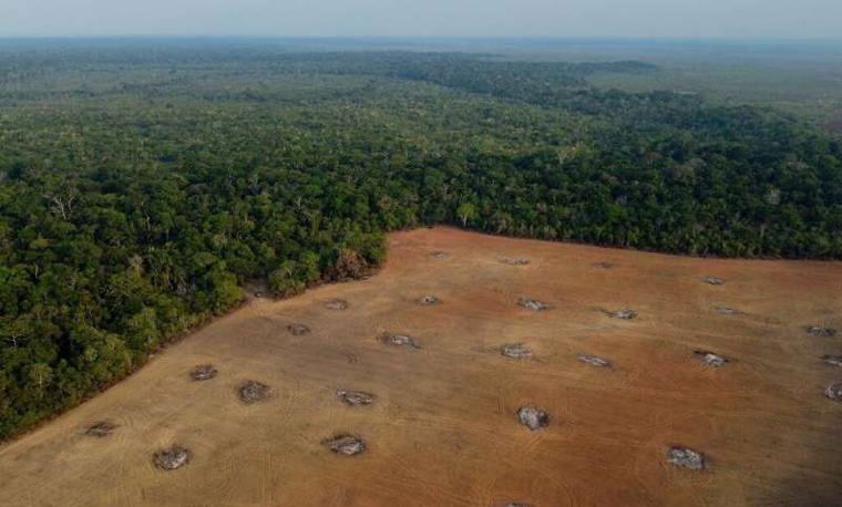 Brazil begins first operations to protect Amazon