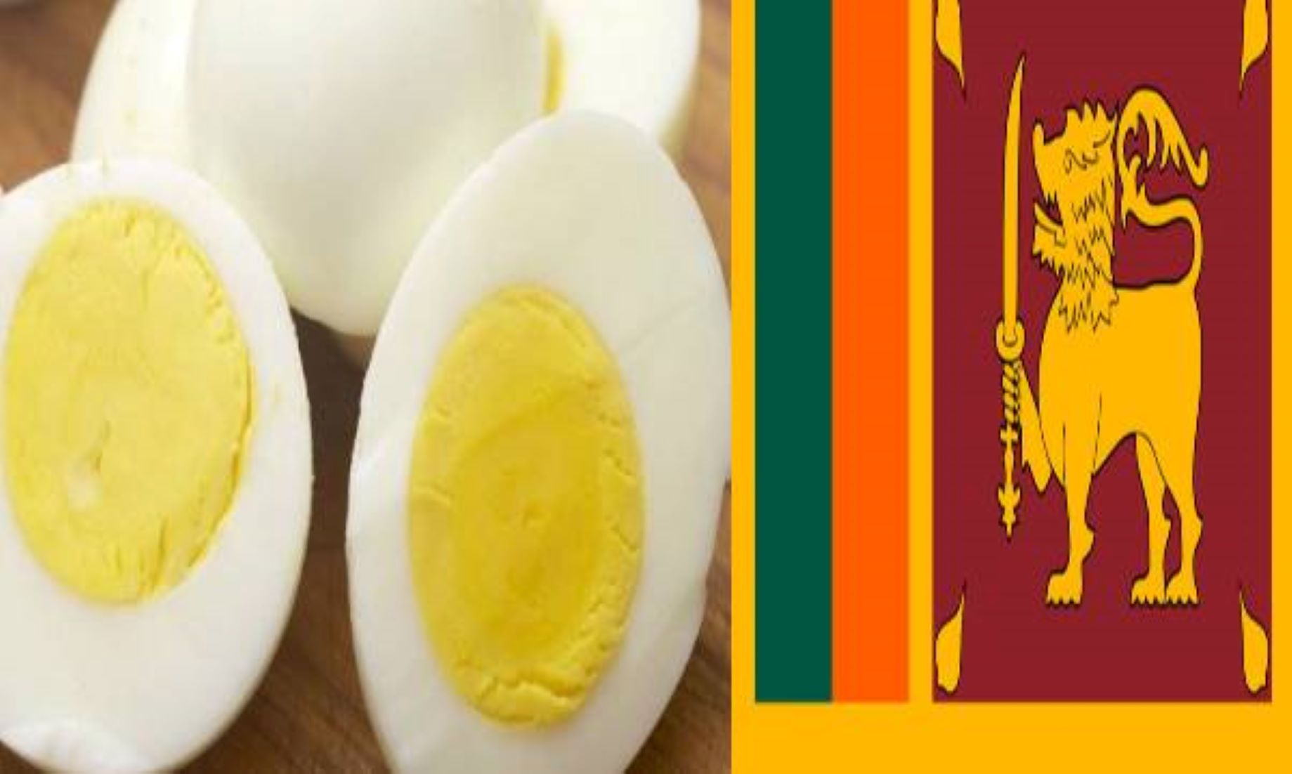 Sri Lanka To Import Eggs Amid Domestic Price War