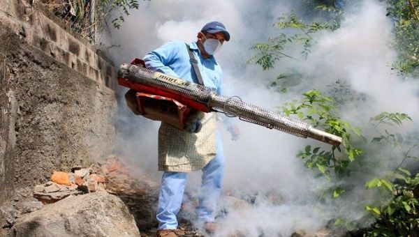 Bolivian region declares red alert for dengue fever