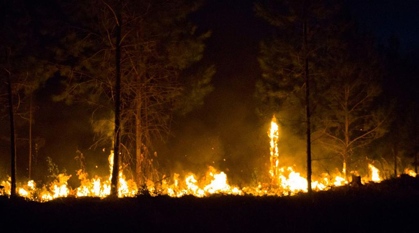 Cuban president monitors the fight against forest fires in eastern región