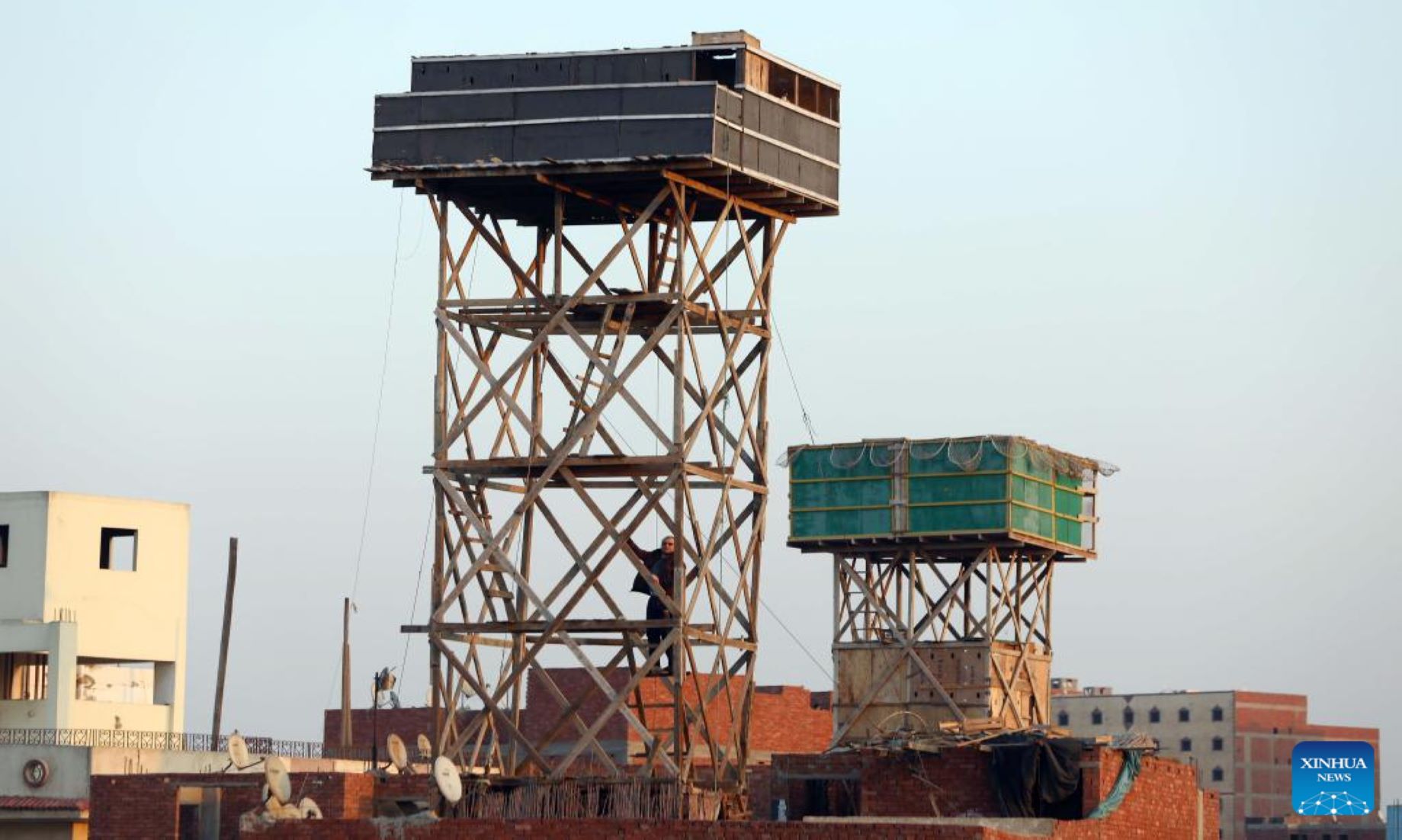 Feature: Raising Pigeons On Rooftop Remains Unique Hobby, Business In Egypt