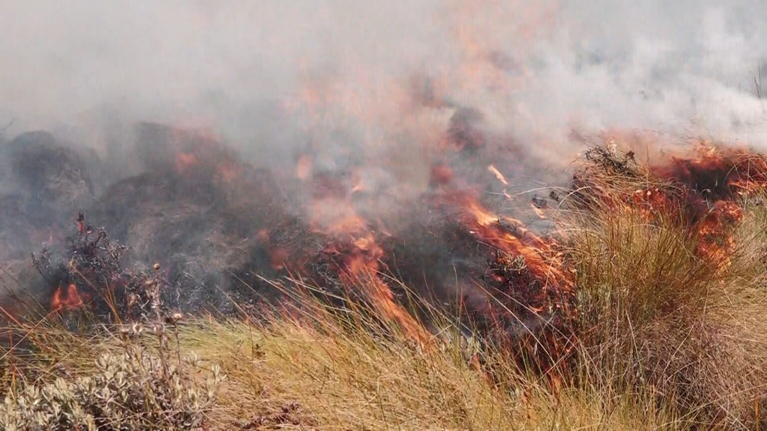 Kenya: Wildfire in Aberdares forest leaves two KWS officers dead