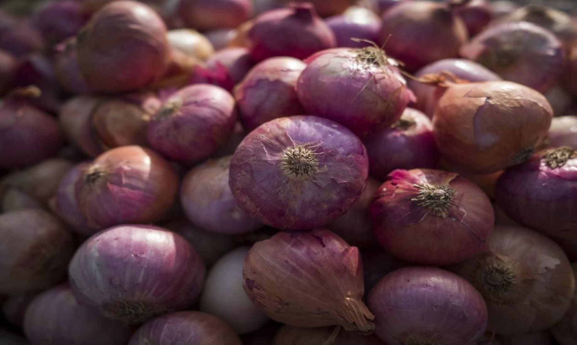 Pricey Onions Become ‘Currency’ In Philippines For One Day To Support Food Bank Programme