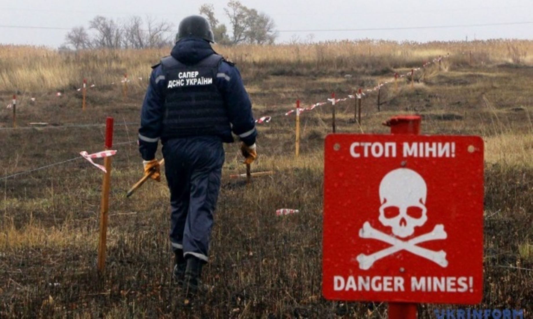 Ukraine’s Agricultural Output To Drop This Year Over Landmine Contamination