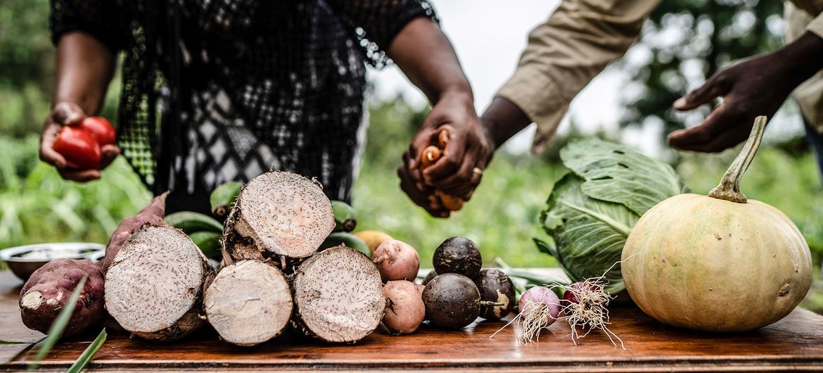 Africa faces brunt of climate change, deep inequalities, food crisis: UN chief