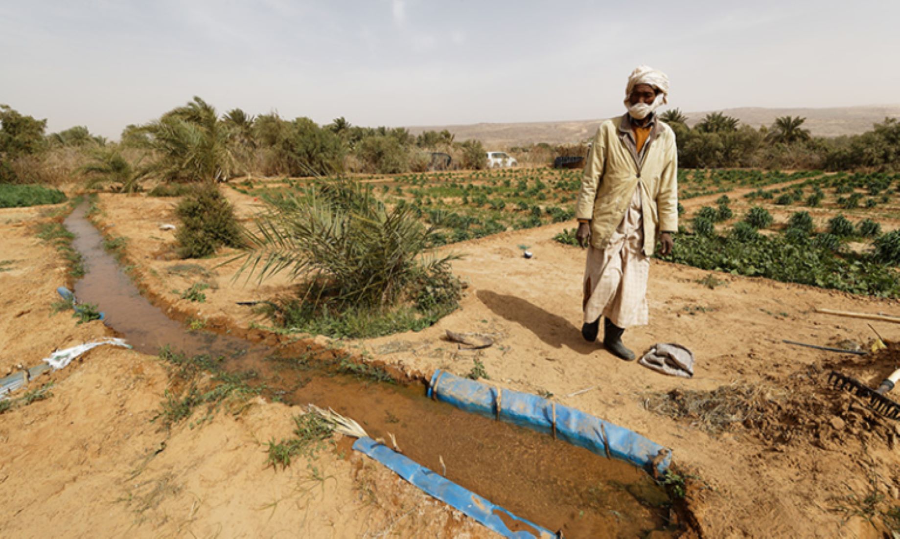 Rainfall Decline Poses Dire Consequences To Lebanon’s Agriculture: Experts