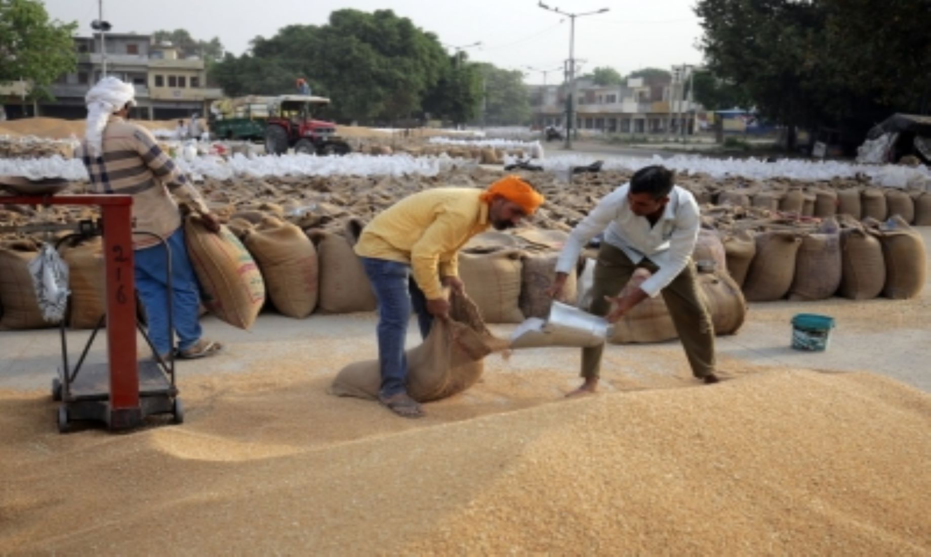 Indian Gov’t To Offload Three Million Tonnes Of Wheat To Cool Down Prices