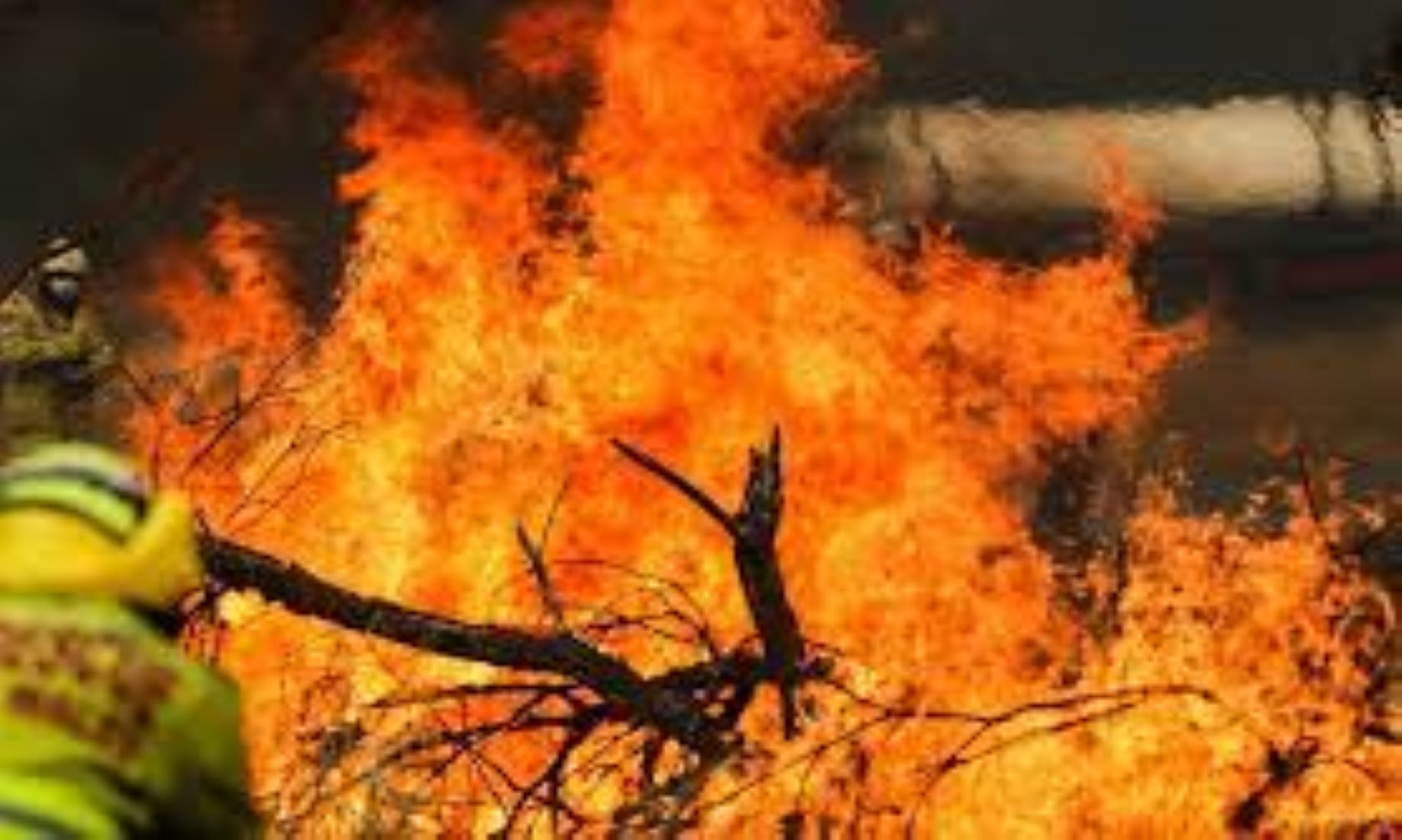 South Australian Bushfire Threatens Human Lives, Homes: Emergency Services