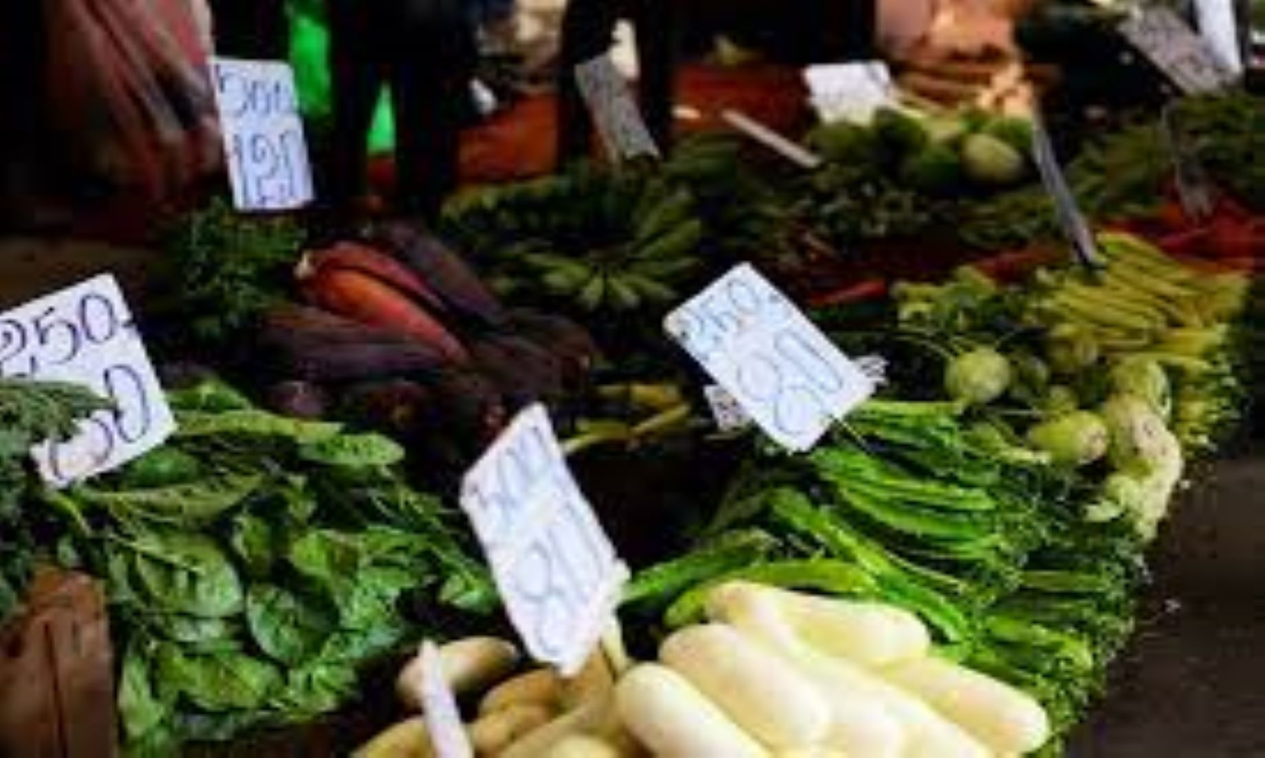 Sri Lanka’s Inflation Dropped To 54.2 Percent In Jan