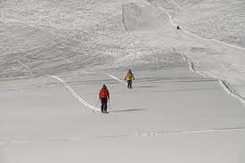 Austrian avalanches leave three dead