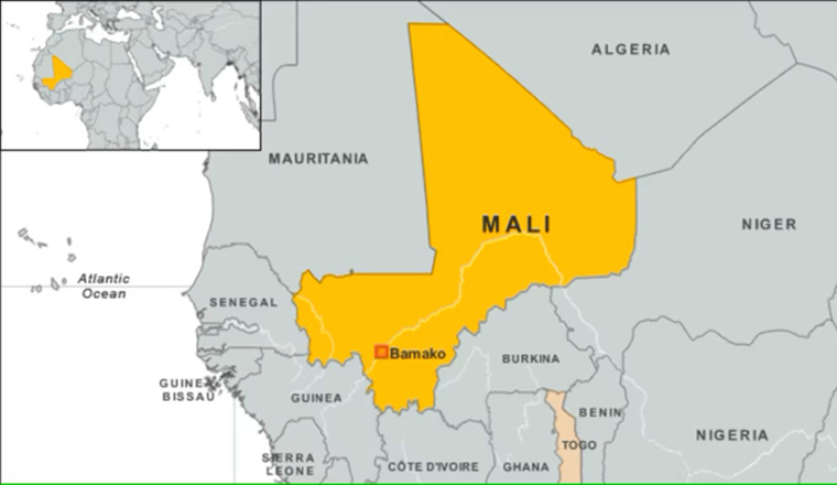 Abducted WHO doctor freed in Mali