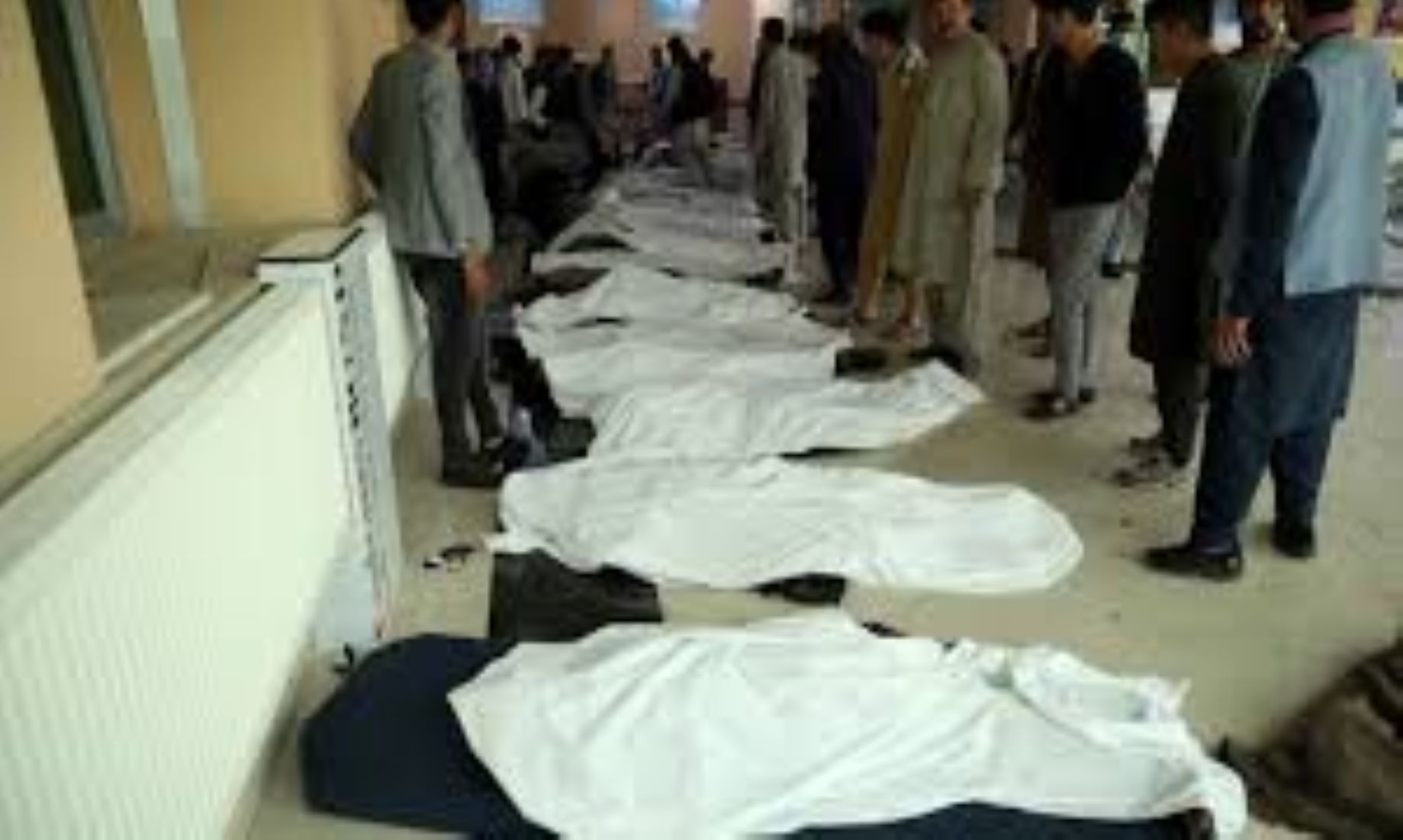 Seven Members Of Family Killed In Afghanistan’s Balkh Province