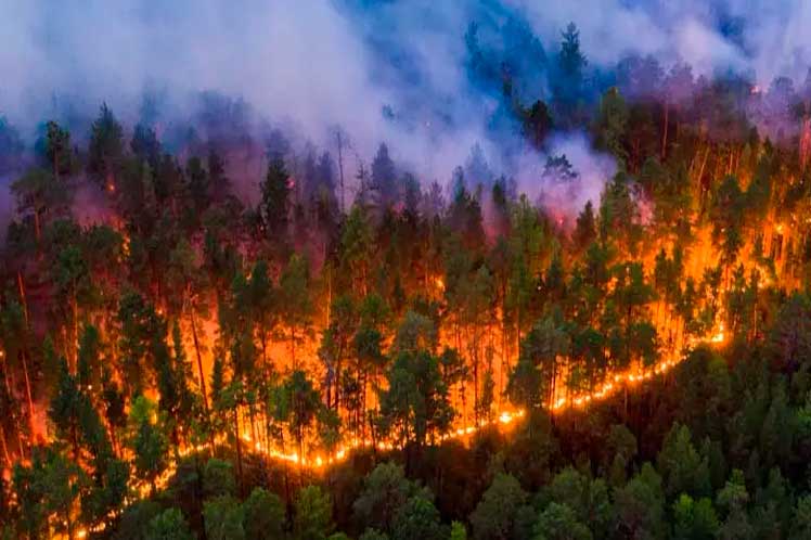 Chile wildfires: Gov’t extends state of catastrophe in areas damaged by fires