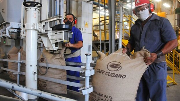 Cuban project seeks to increase Arabica coffee production in the country