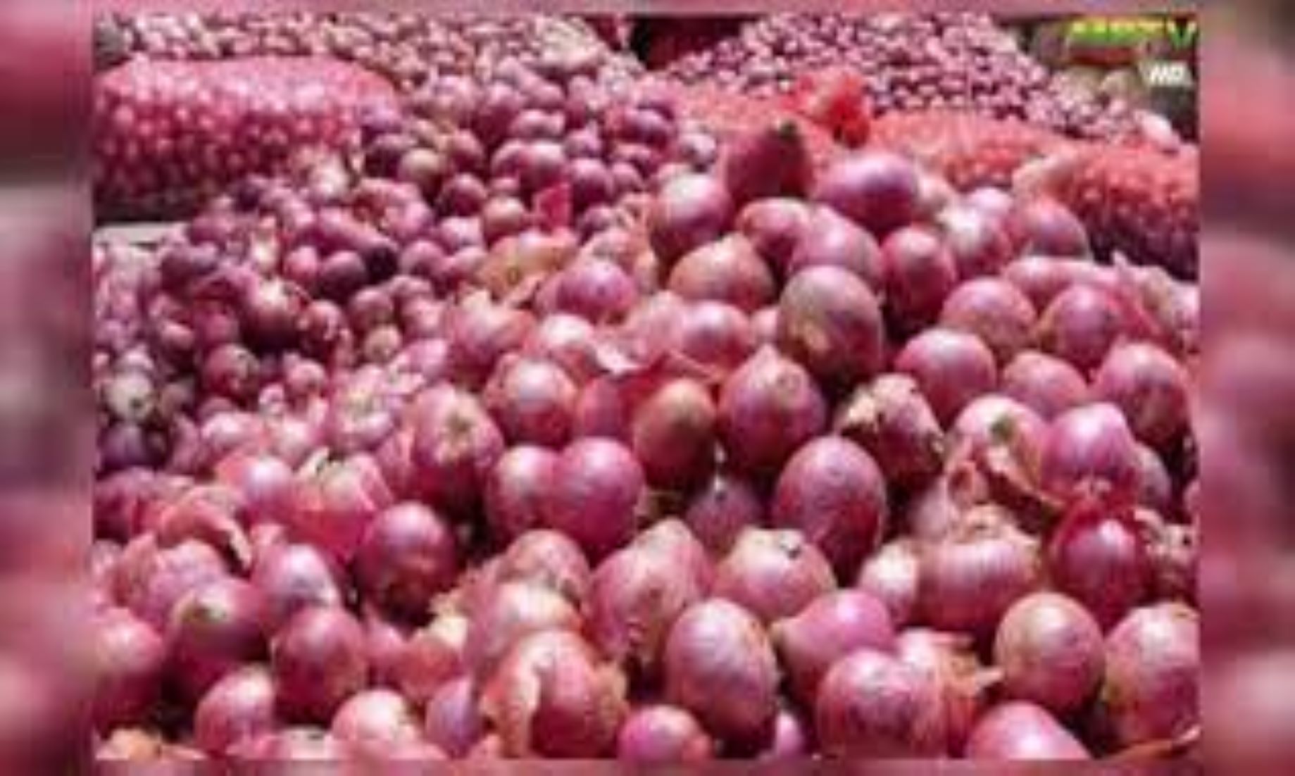 Myanmar Expects To Export More Onions