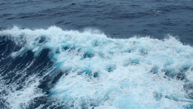 Treaty ahoy! UN states finally agree deal to protect high seas