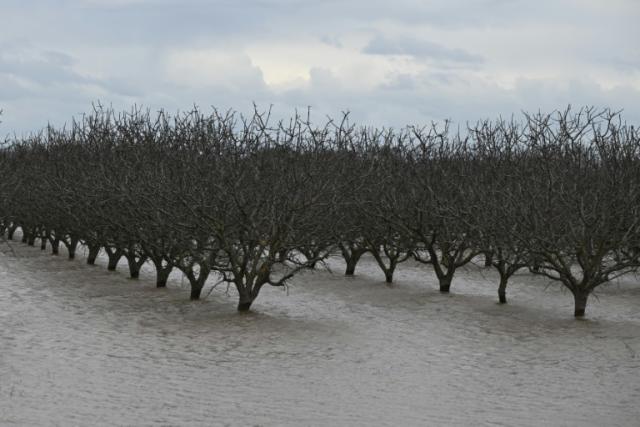 US: Ghost lake set to reappear as California hit again by rain