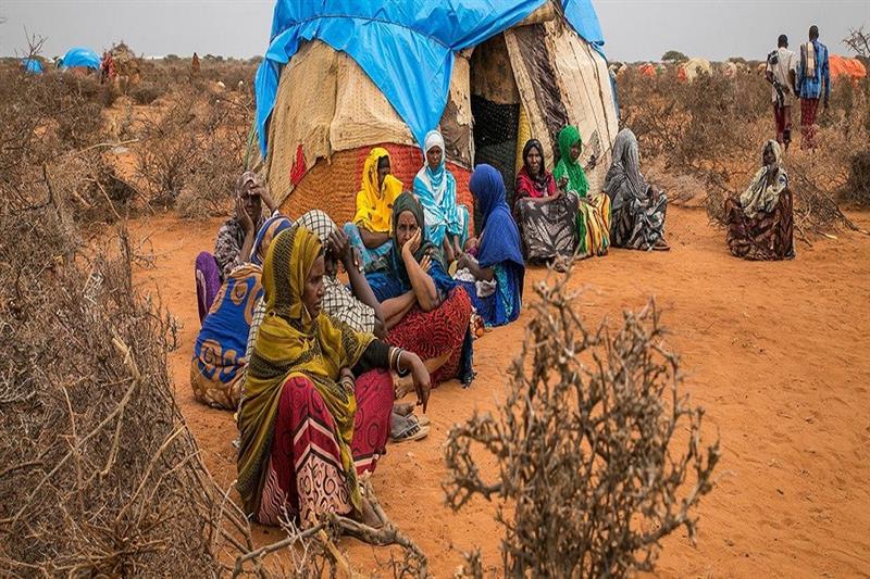 UN appeals for urgent funding to support conflict, drought-affected people in Ethiopia