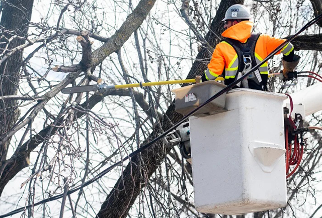 Hundreds of thousands without power in Canada after ice storm