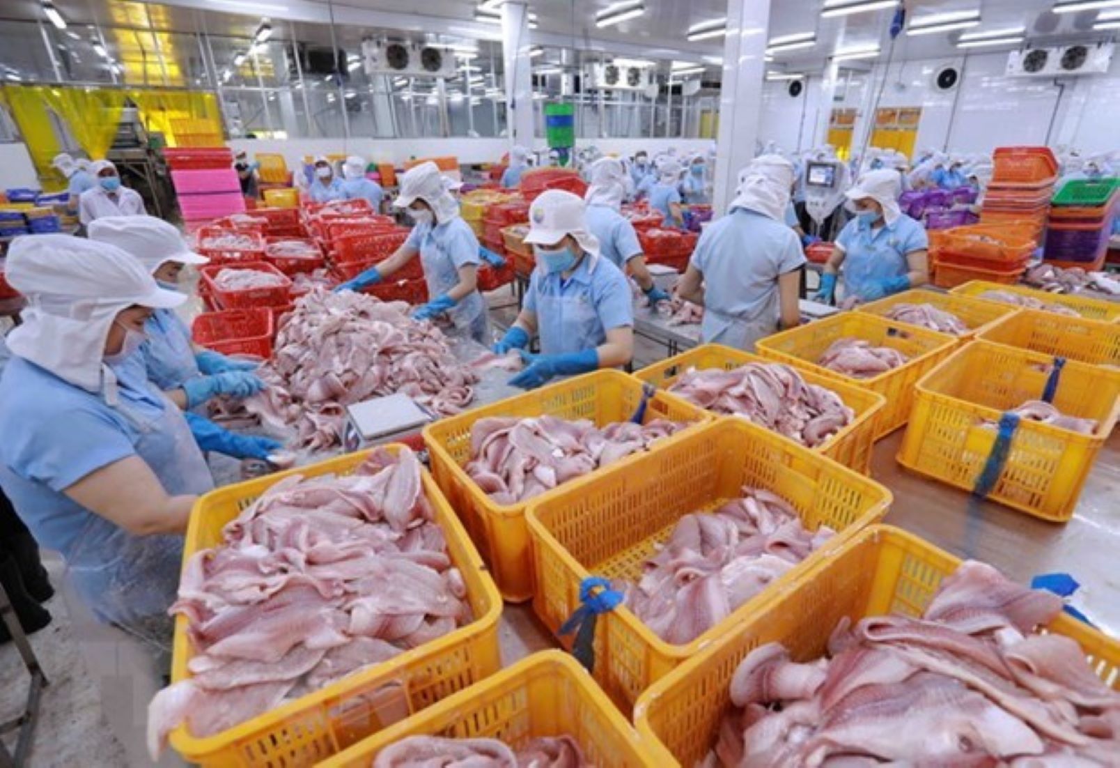 Vietnam’s PM Urged Increased Efforts To Boost Forestry, Fishery Exports