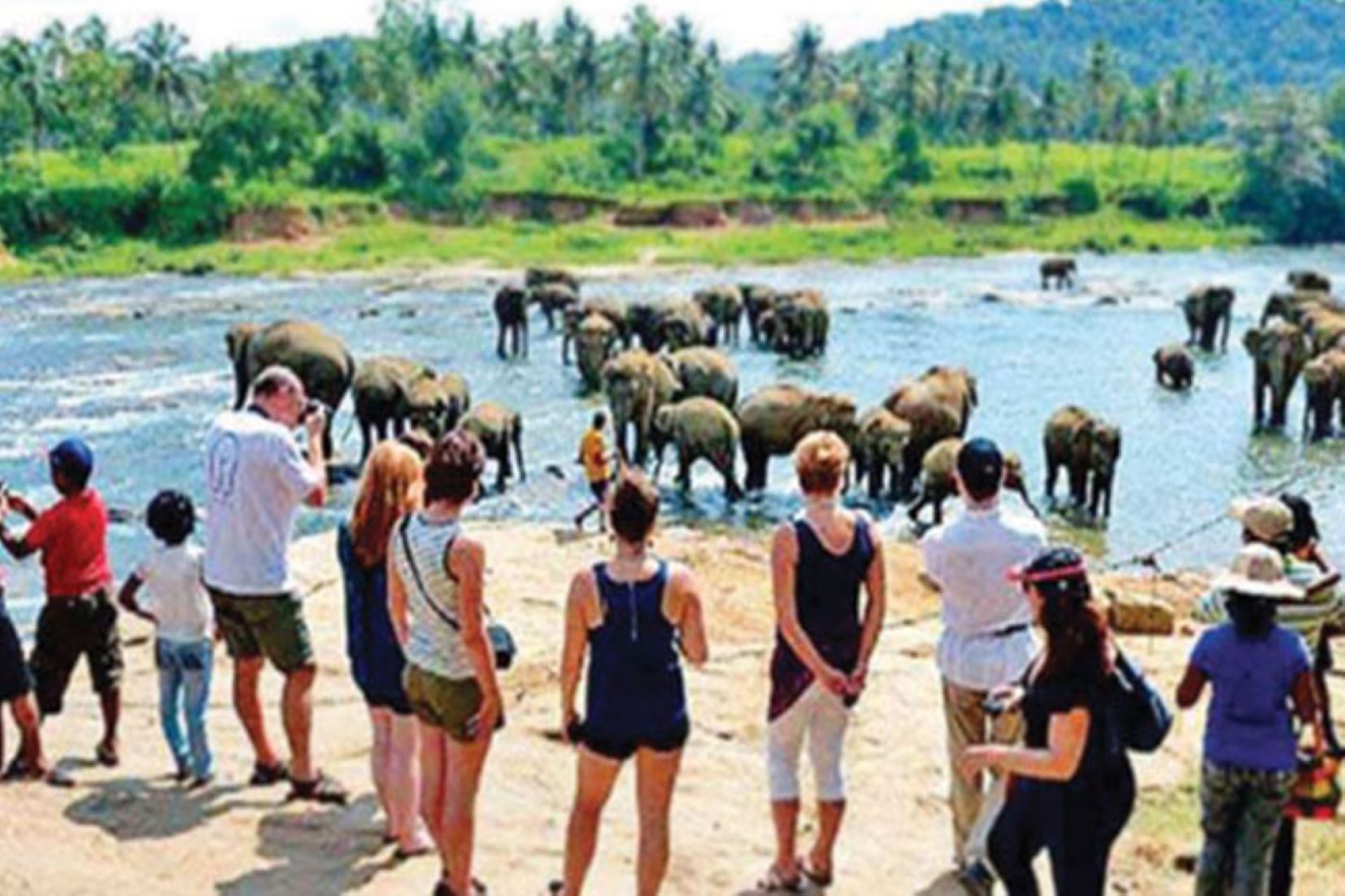 Sri Lanka Earned Nearly 700 Million USD From Tourism In Four Months Of 2023