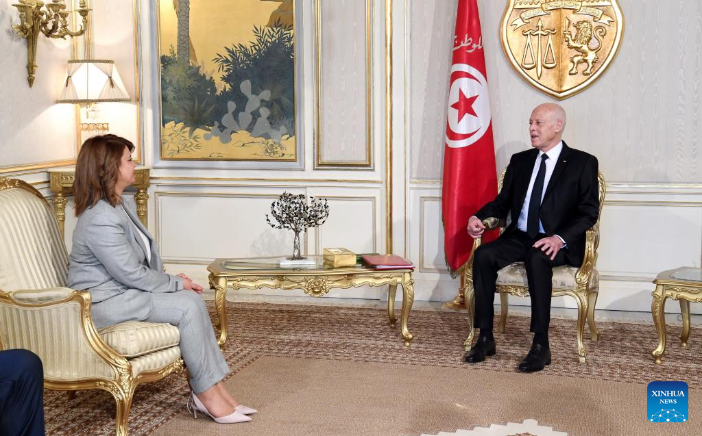 Tunisian president meets Libyan FM on ties, cooperation