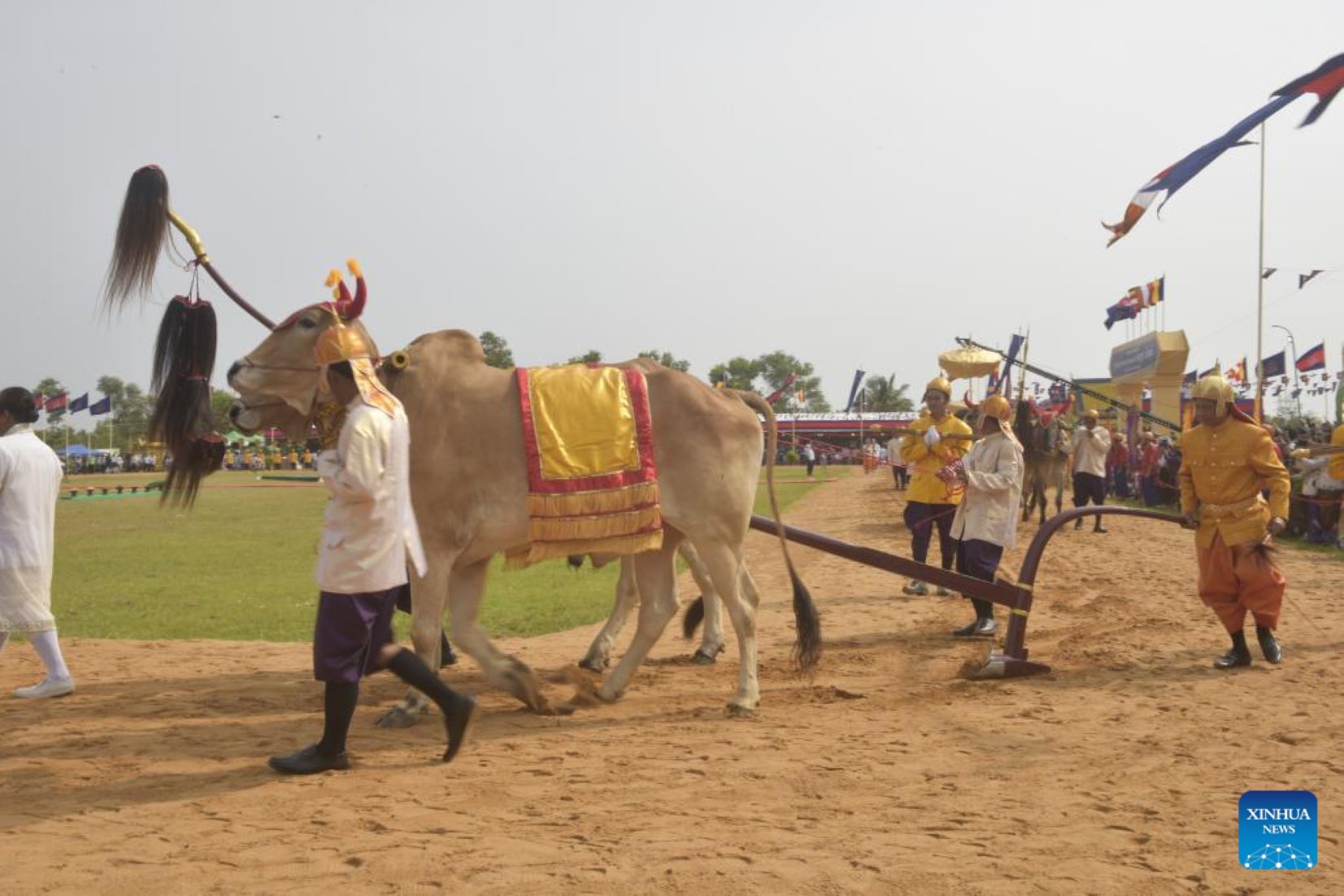 Cambodia Held Royal Ploughing Ceremony After Four-Year-Hiatus