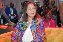 Tourism Minister De Lille keen to see growth in South Africa tourism