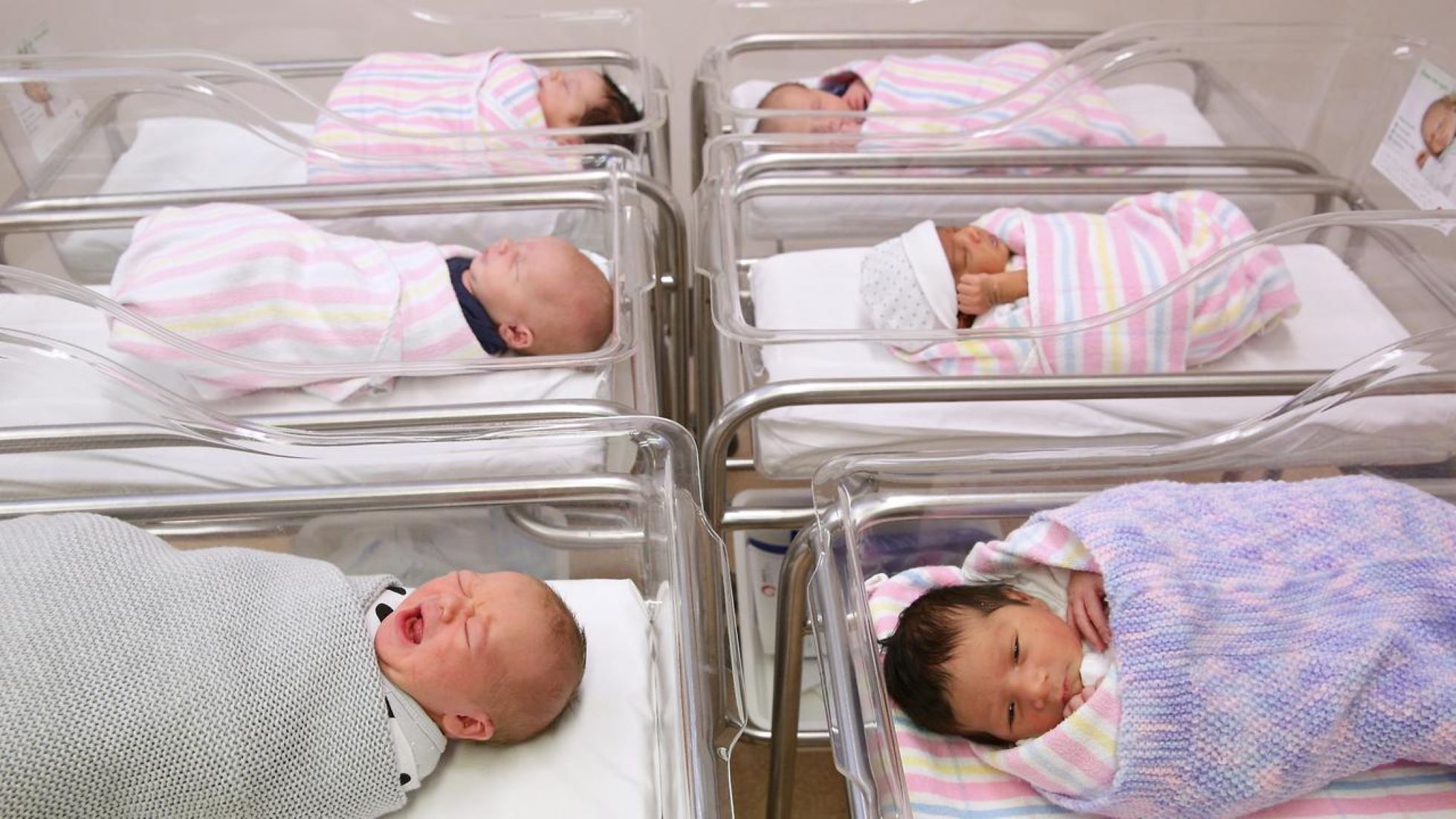 Australian Births Hit Record High In 2021