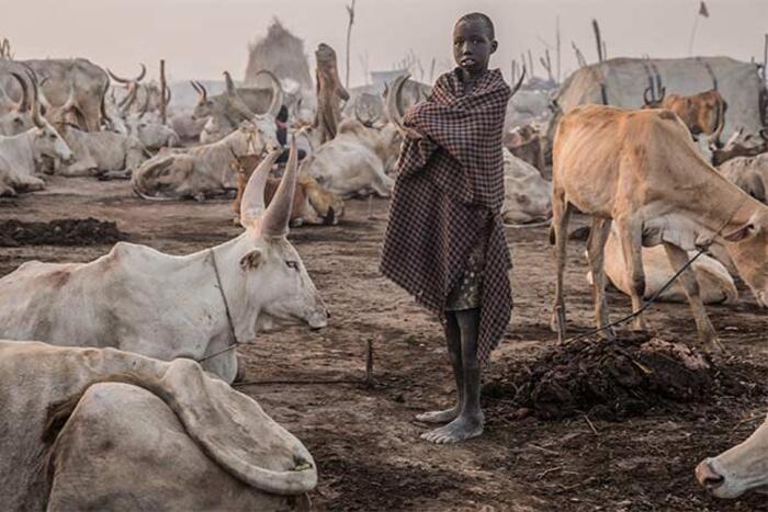 East Africa bloc, FAO warn of Rift Valley Fever outbreak in eastern Africa