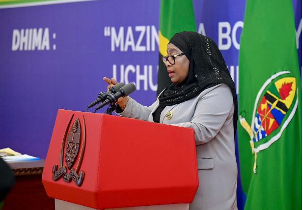 Tanzania tourism industry: Pres Samia calls for more investments