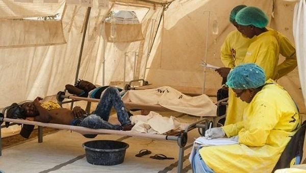 Nigeria reports 1,629 suspected cholera cases, 48 deaths