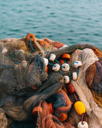 West Africa: Illegal fishing costs West African nations billions in revenue