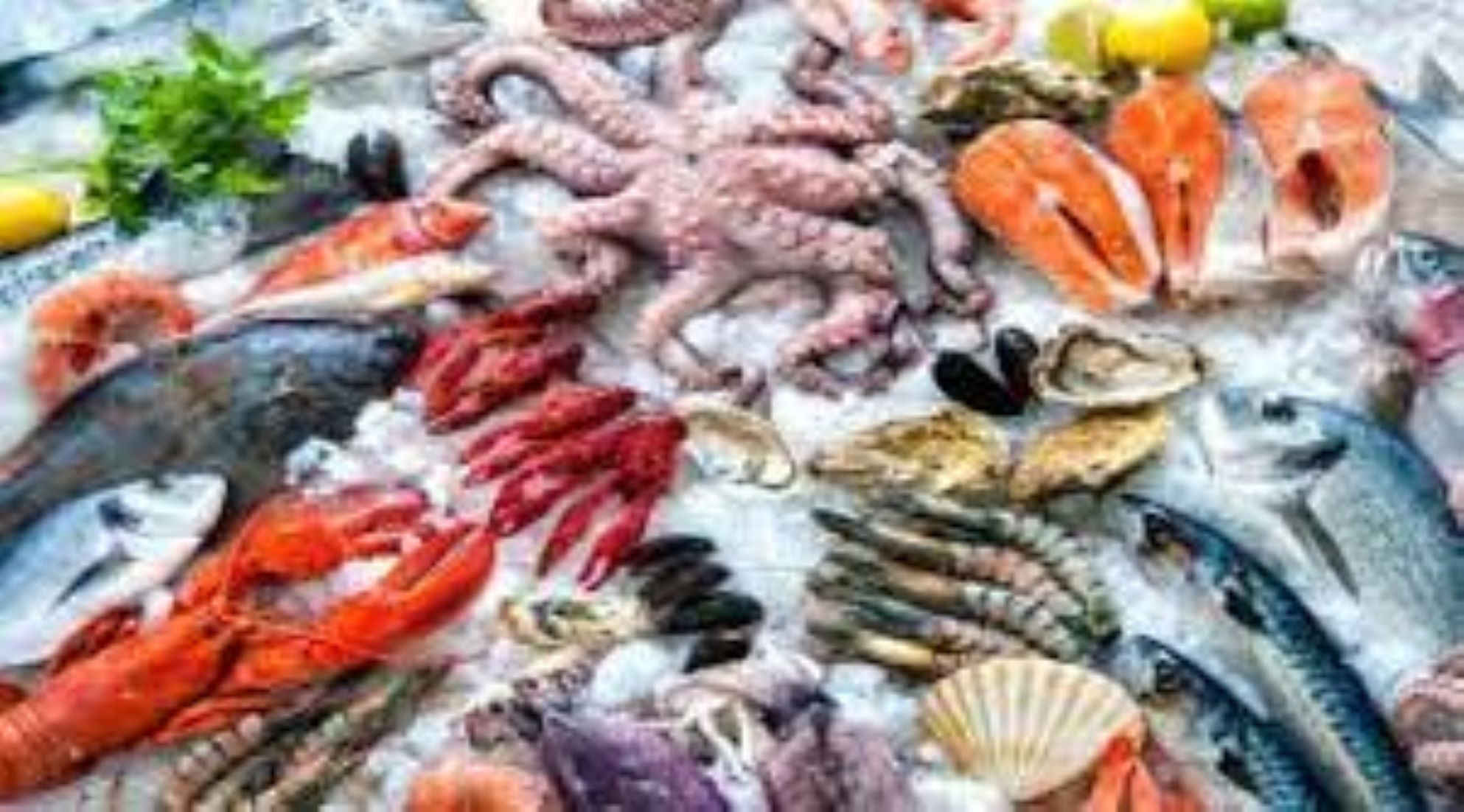 India’s Seafood Exports Touch All-Time High In FY 2022-23