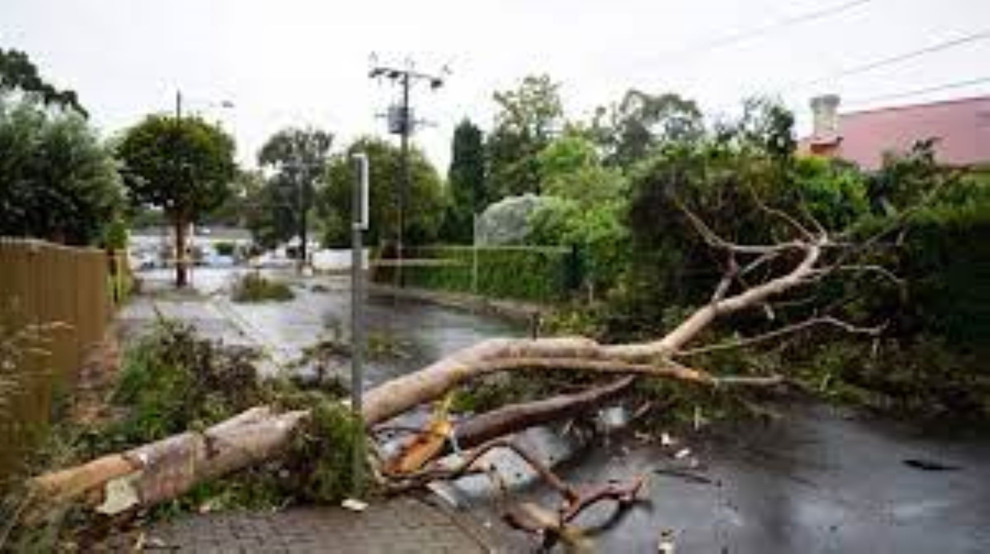 Heavy Rains Caused Flooding, Blackouts In South Australia