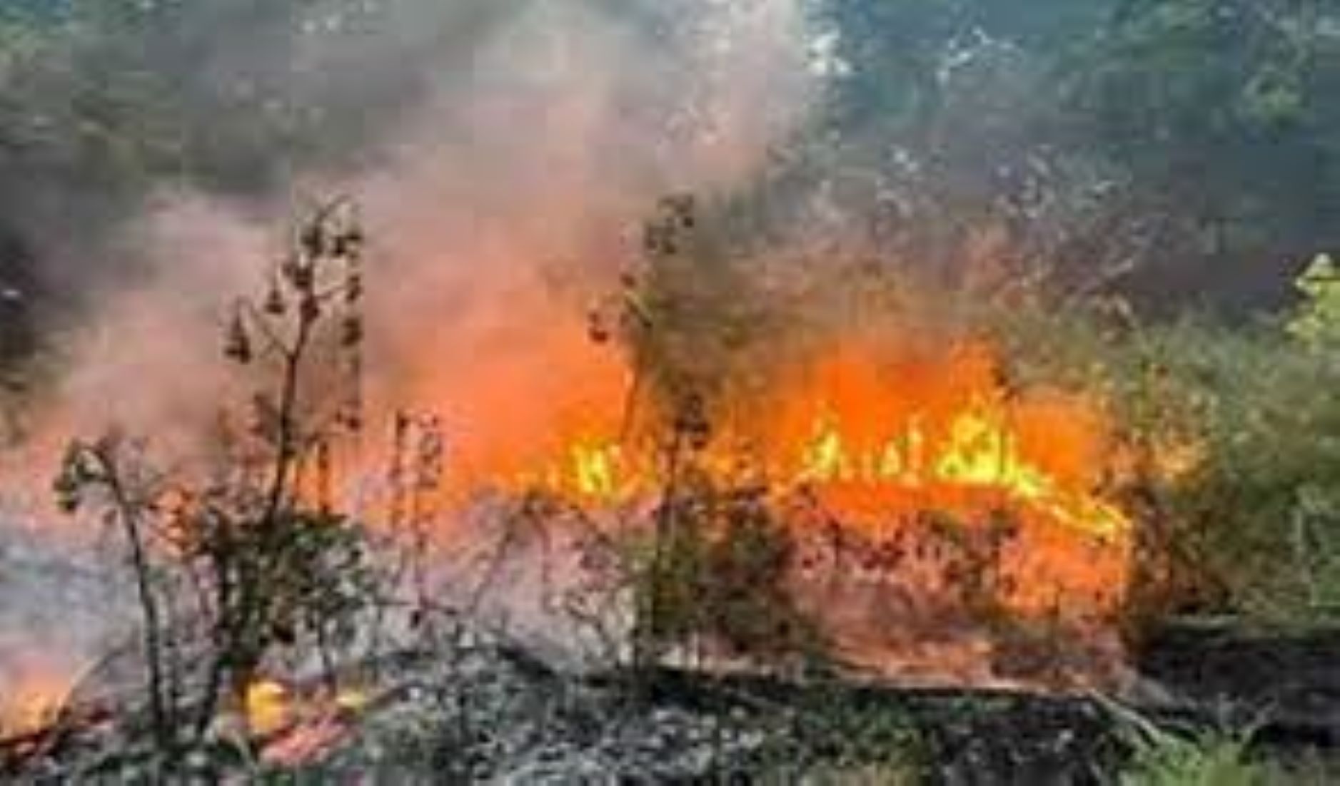 At Least Three Killed In Wildfires In Eastern Kazakhstan