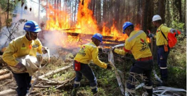 South Africa: Second group of firefighters deployed to battle Canada’s wildfires