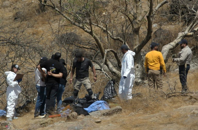 Mexico police find 45 bags with human body parts in ravine