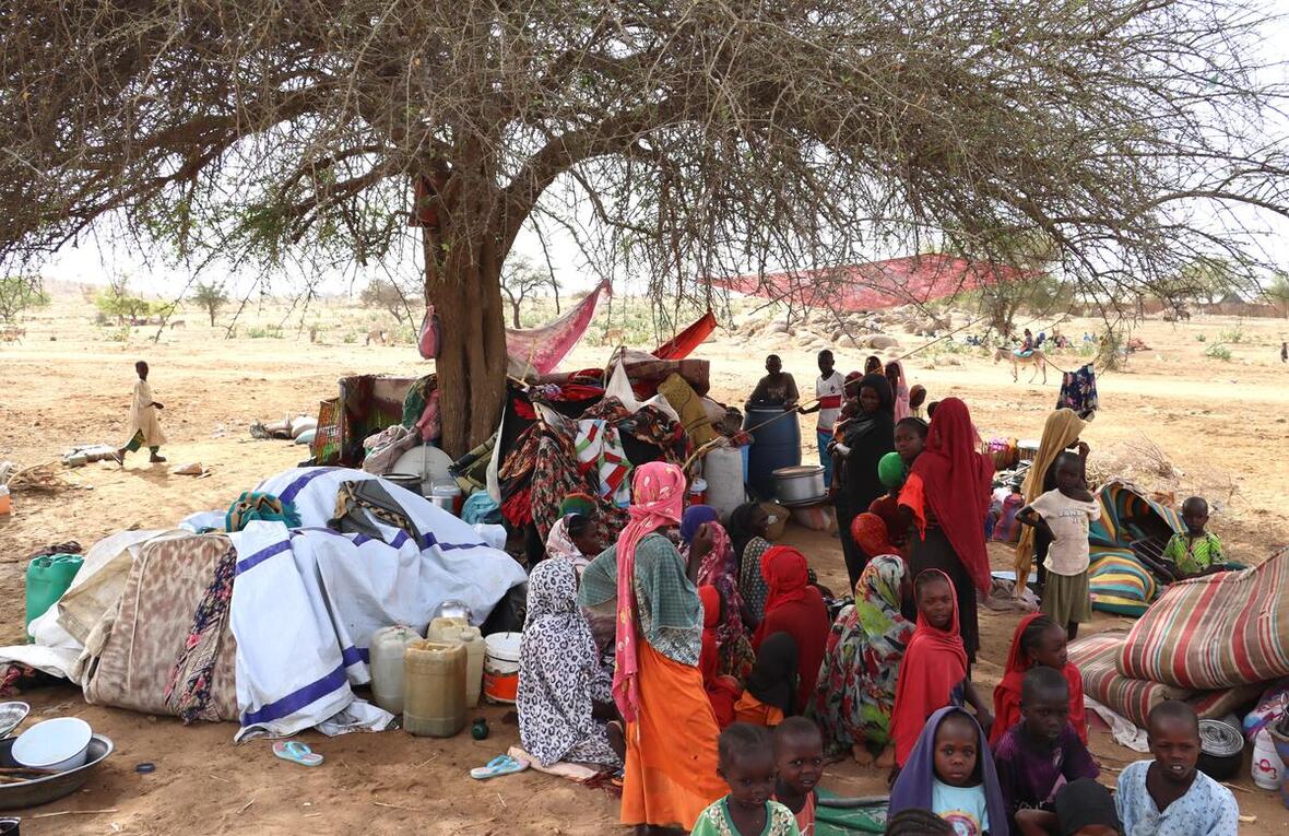 Sudan crisis: UN refugee chief says over 500,000 have fled Sudan