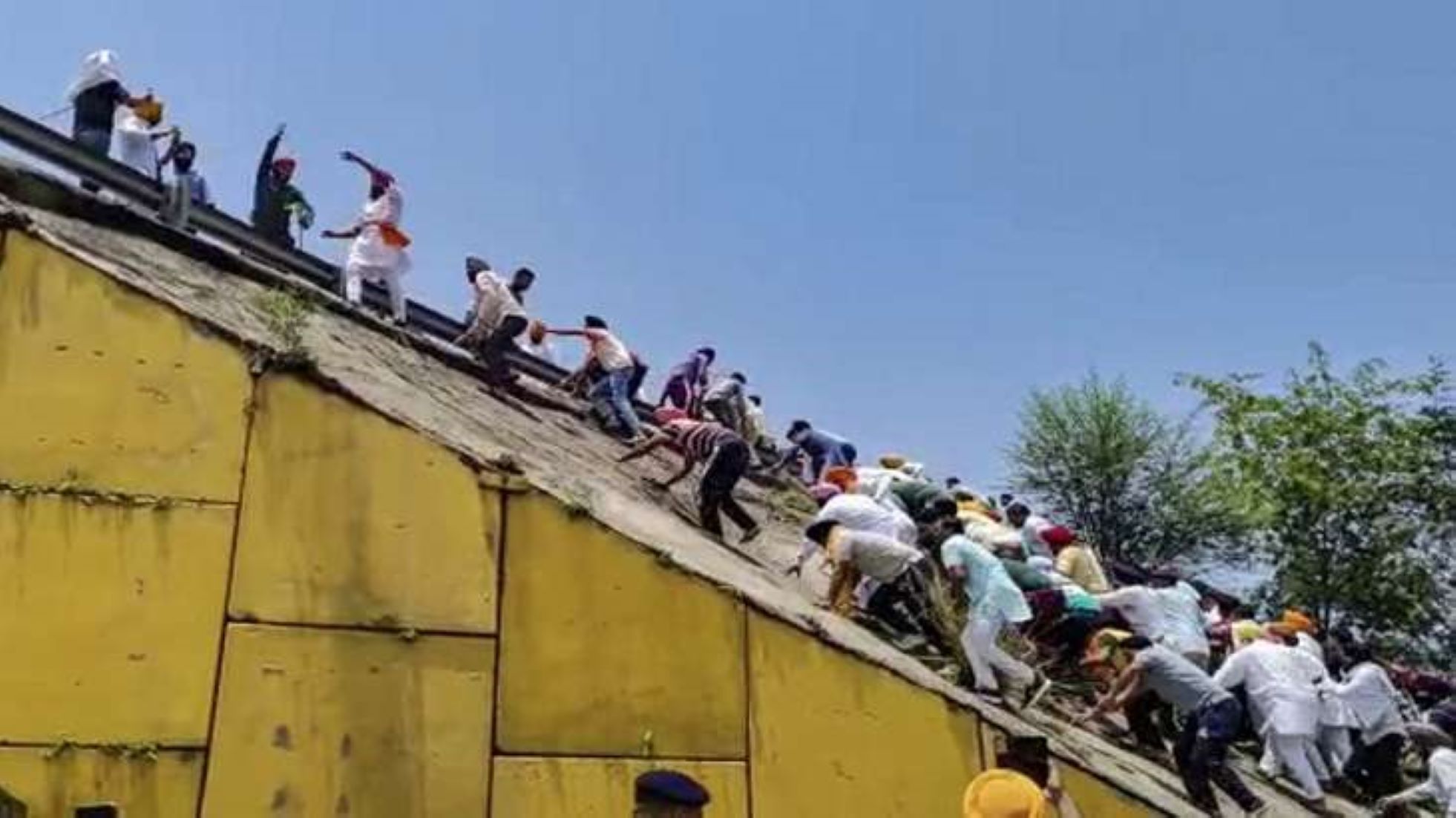 Sunflower Farmers In North India End Protests After Demand Met