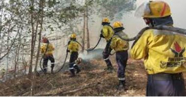 Cabinet salutes South Africa firefighters deployed in Canada