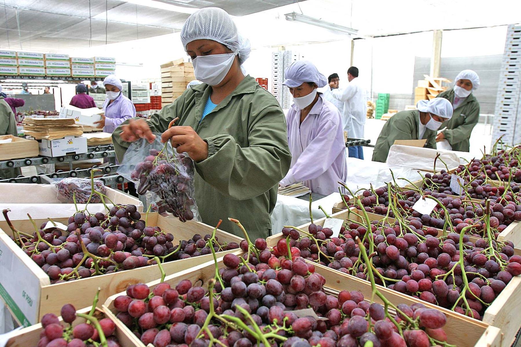 Peru: Non-traditional agricultural exports up 7.5% in Jan-May 2023