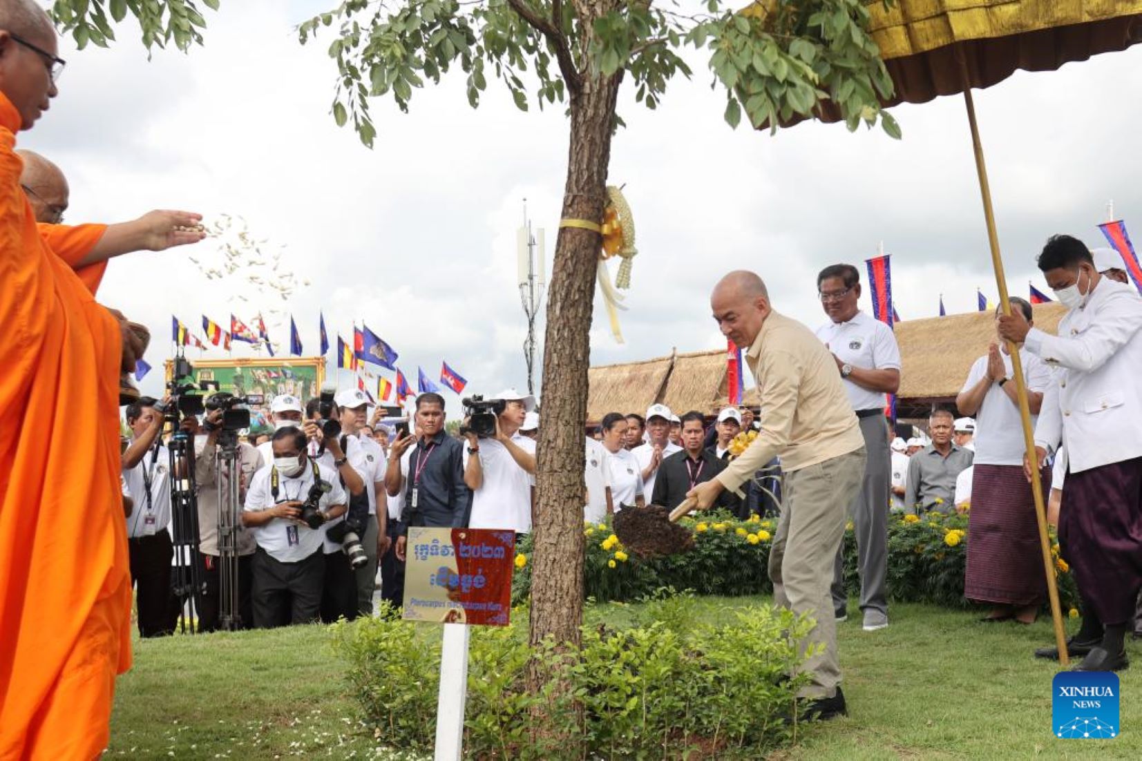 Cambodian King Highlights Significance Of Forest On Arbour Day