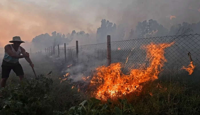 Algeria wildfires: Dozens, including 10 soldiers, killed and thousands evacuated