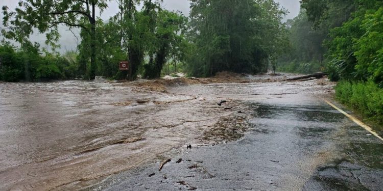 US: At least 1 dead as heavy rain causes flash flooding in New York