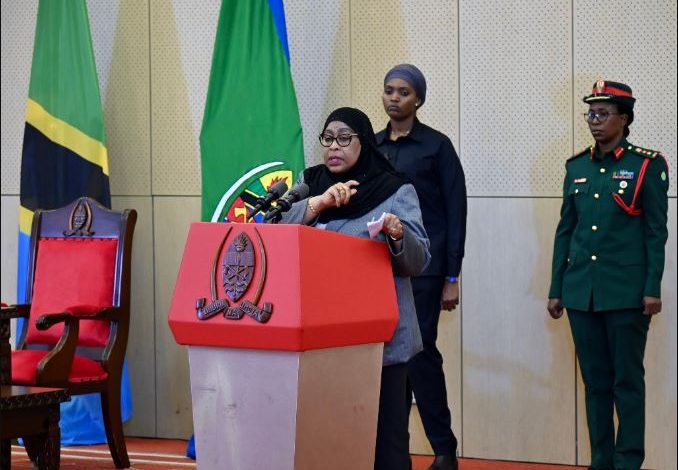 Tanzania: President Samia wants law to deal with ‘pseudo officials’